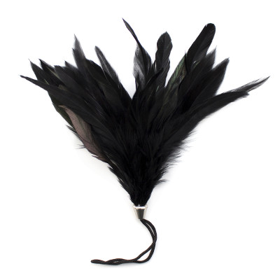 Μικρή Μαύρη φτερωτή ξεσκωνίστρα πουπουλένια γαργαλίστρα 17 cm
