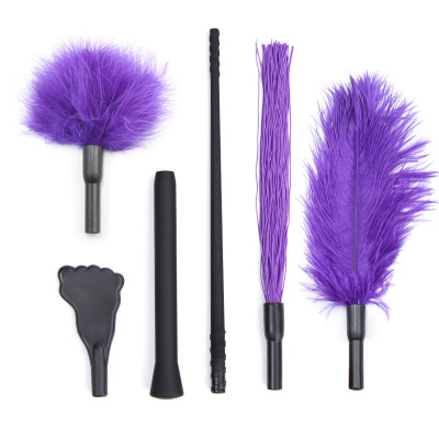 Naughty Toys Purple Whip Set