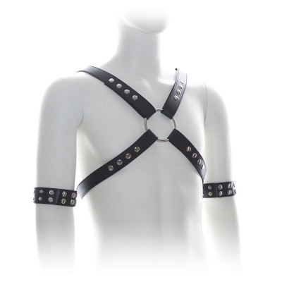 Naughty Toys Harness with Arm Restraints