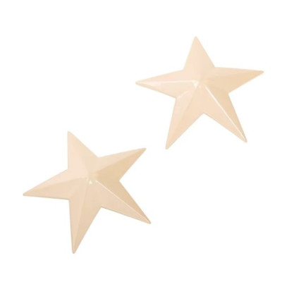 Naughty Toys Metal Star Nipple Covers