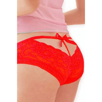 Erotic Lace Panty 