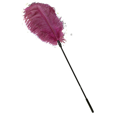Ostrich Feather pink